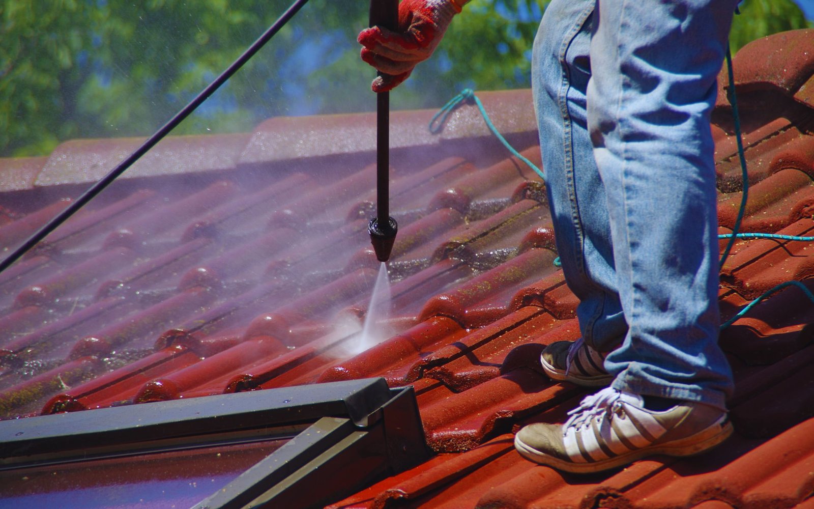 Roof cleaning